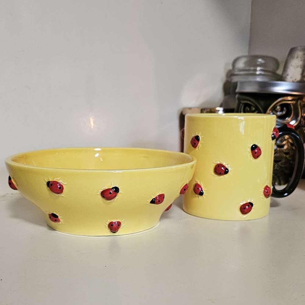 Department 56 Hand painted Lady Bug Bowl And Mug Set- New